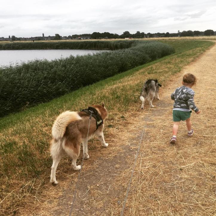 38246168_10100775572844610_1480034142379835392_n