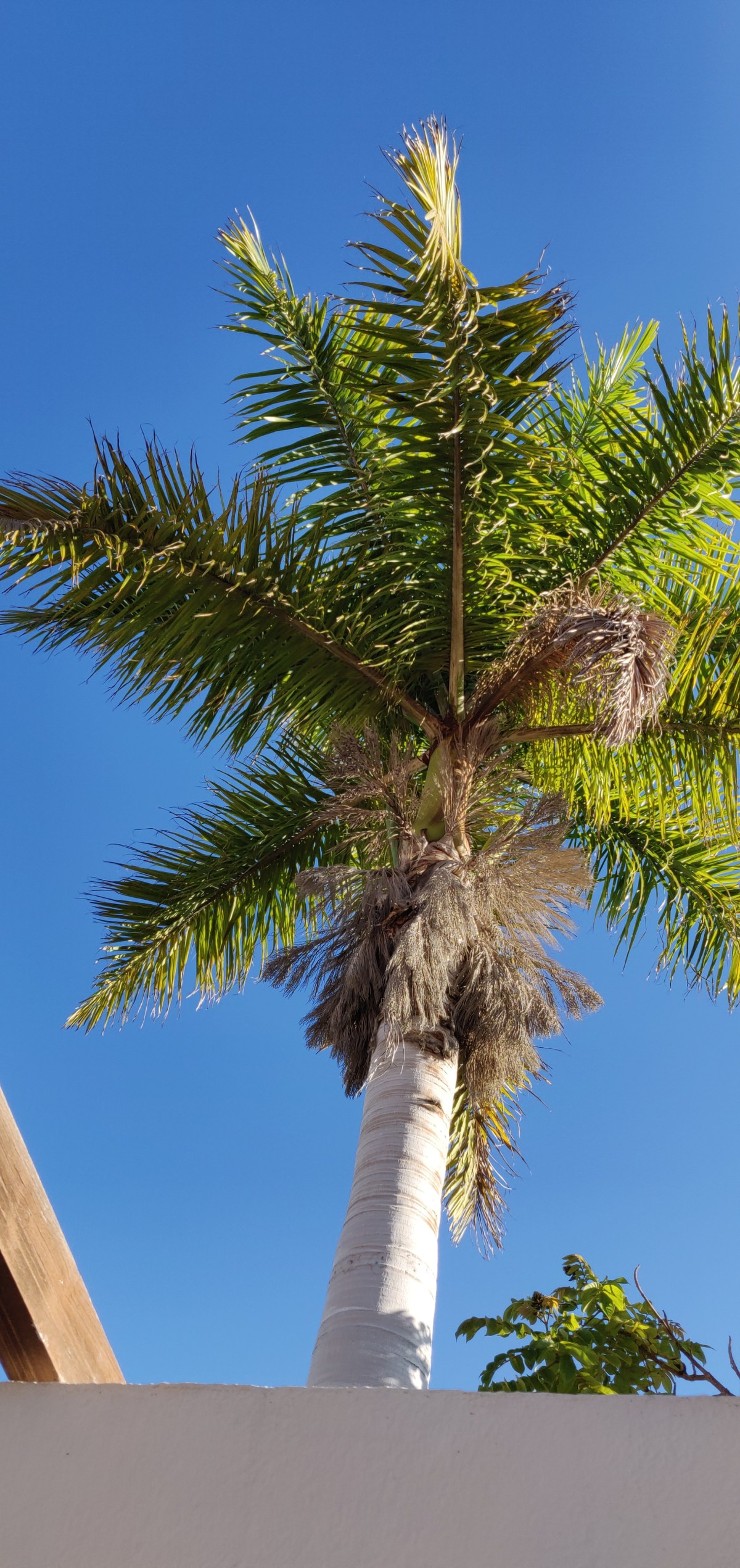 Why you really need to take your paid vacation